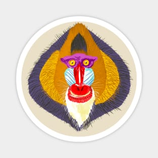 Mandrill stares Magnet